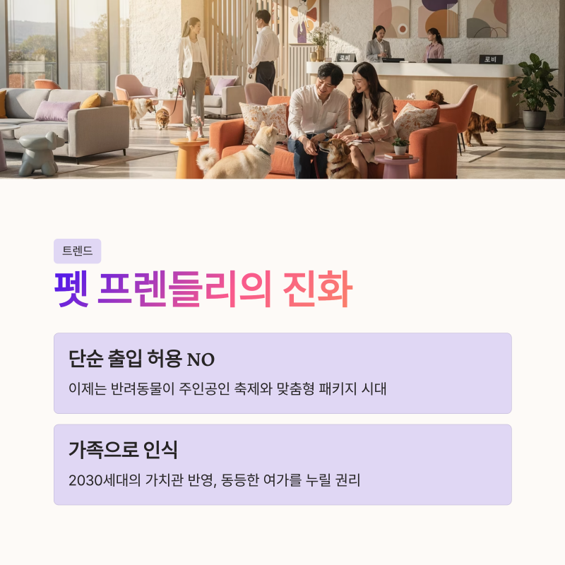 사진 9