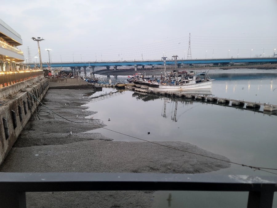 만원수산 사진 5