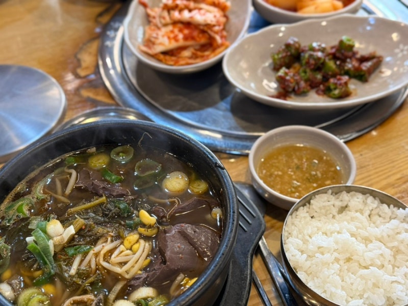 춘천 뚜레한우 가성비 점심 식사부터 육회까지