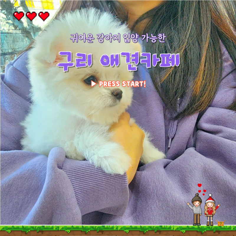 사진 3