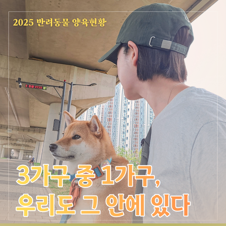  이웃집 3곳 중 1곳이 반려가구라는데, 우리는 정말 준비되어 있을까?