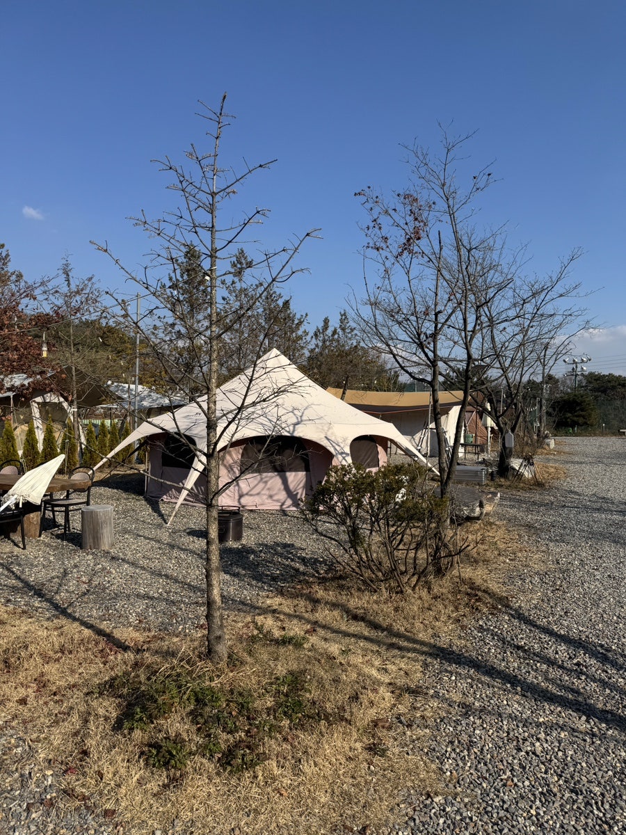 뚜바뚜바 사진 4