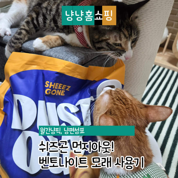  쉬즈곤 먼지아웃 벤토나이트 모래, 파헤쳐봤다냥 먼지 진짜 없을까?