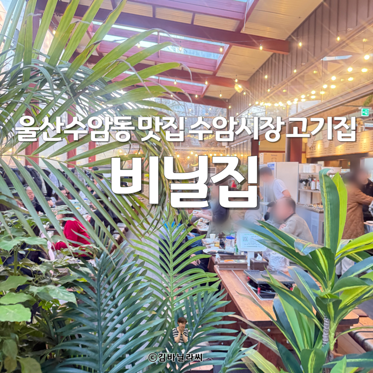  울산 남구 수암동 맛집 비닐집 찌개세트 수암시장 고기집