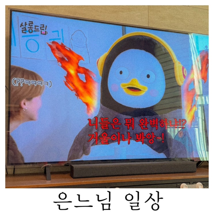  [은느님 일상]이 또한 지나가리다