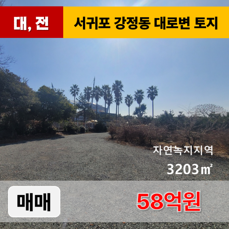  《제주도토지 매매》 서귀포시 강정동 대로변 토지 매매