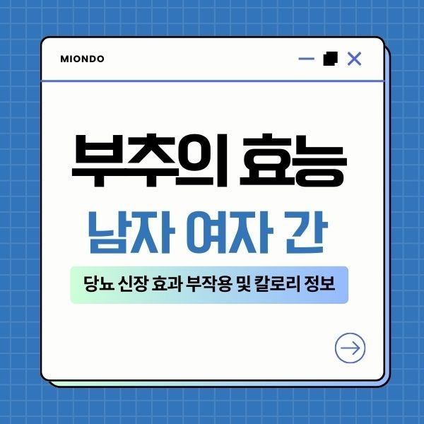 부추의 효능 남자 여자 간 당뇨 신장 효과 부작용 및 칼로리 정보
