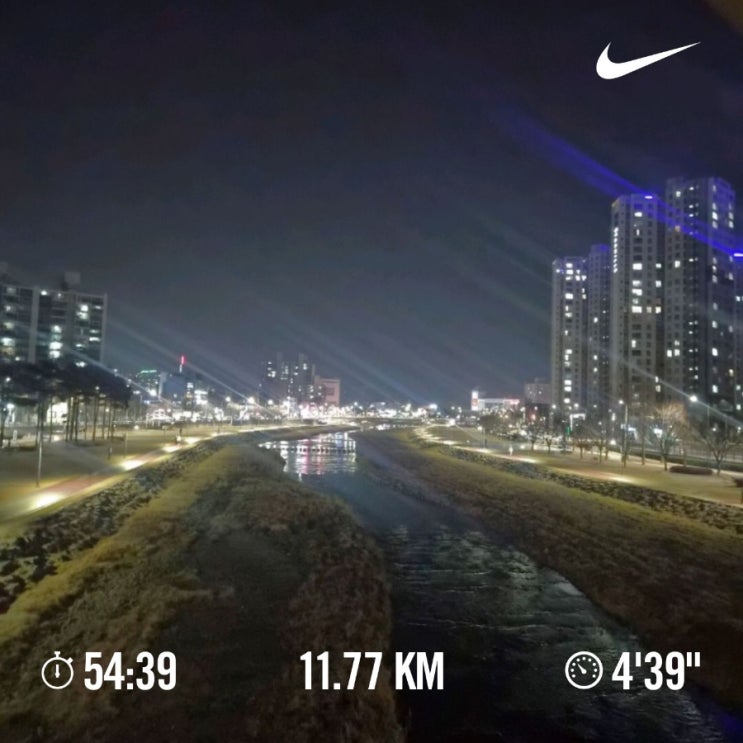 매일 러닝 달리기 조깅 챌린지 1652일차