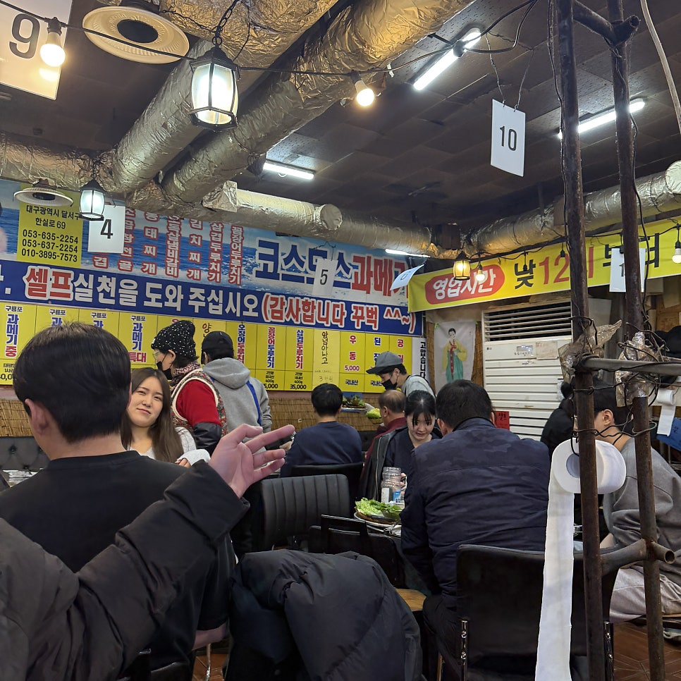 코스모스과메기 사진 1