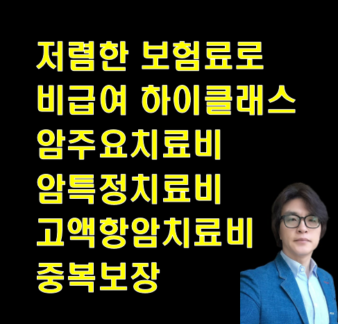 저렴한 보험료로 비급여 하이클래스 암주요치료비 암특정치료비 고액항암치료비 중복보장 ....