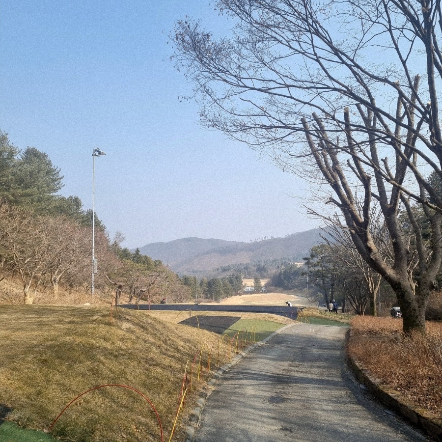 국가대표김영균밥상 사진 3