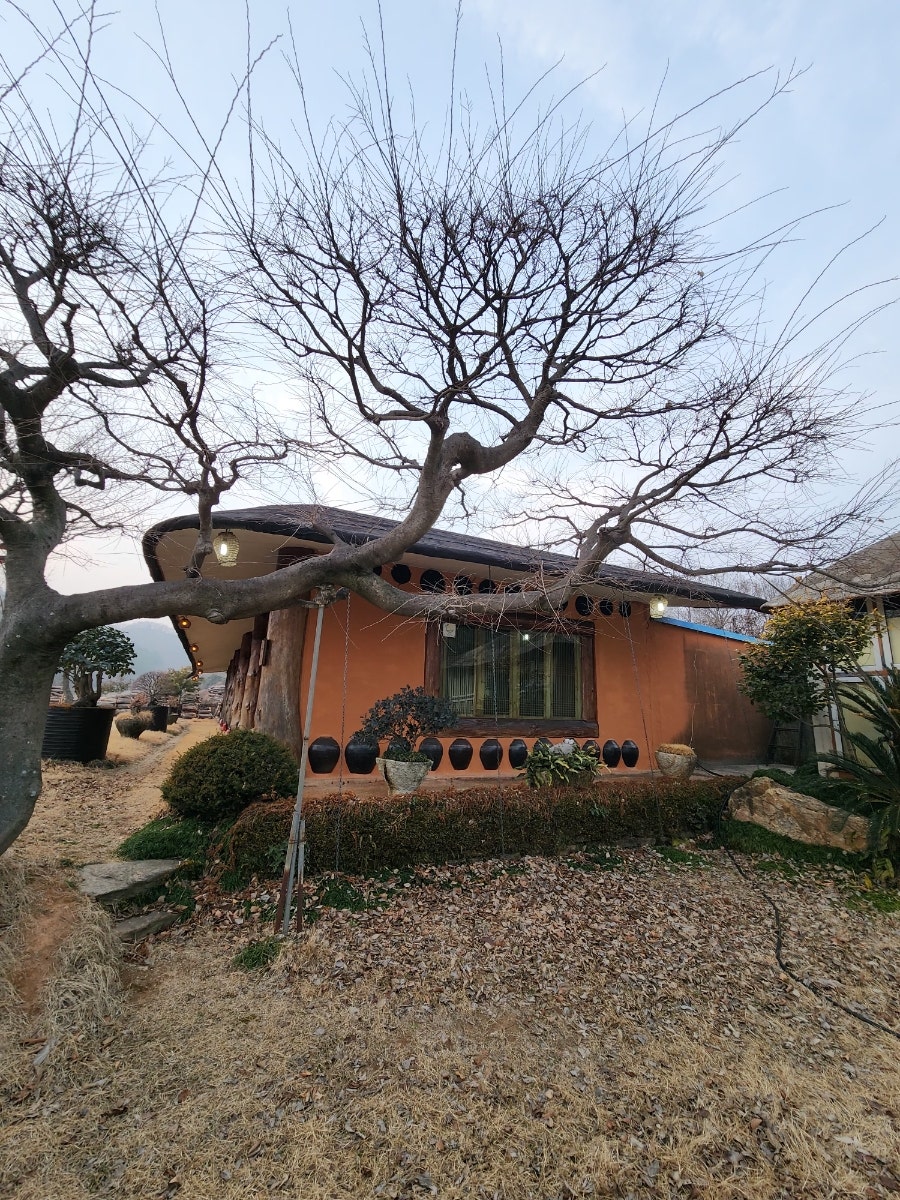 남쪽나라민박 사진 2
