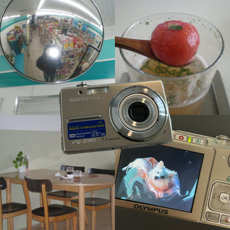 [ 올림푸스 FE-230 ] OLYMPUS 카메라 추억 저장용 빈티지 디카 초보자의 리뷰 & 작례