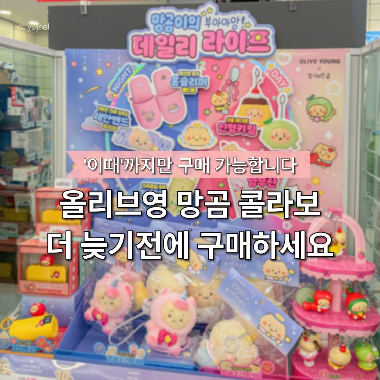  "남은 기간이 언제지..?" 올리브영 망그러진곰 콜라보 인형 키링 왜 사는지 알겠네