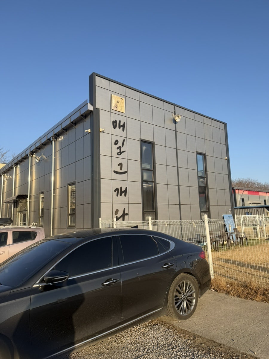 매일그개와 사진