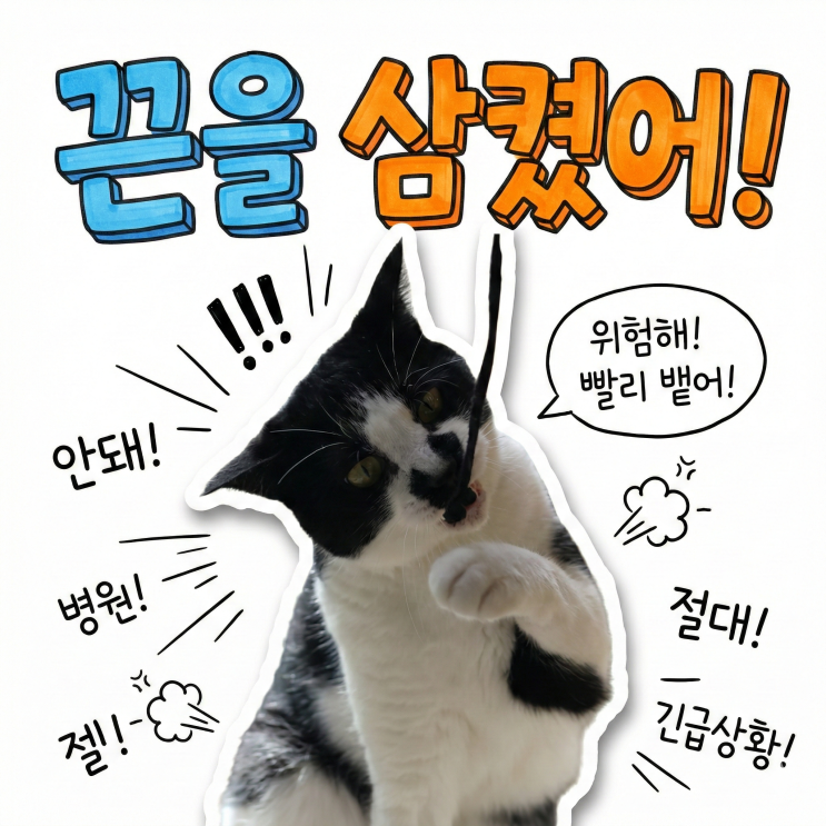  고양이 끈 삼킴 설선물 포장끈 안전하게 버리기