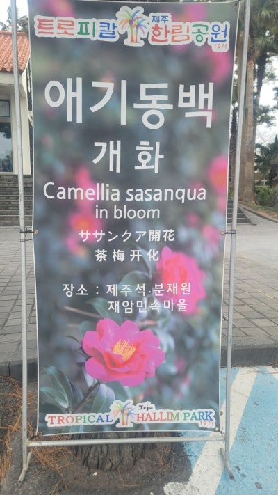 사진 5