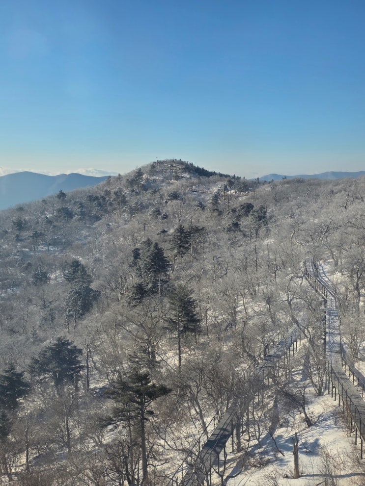  용평리조트 모나용평 발왕산 케이블카 눈꽃 여행