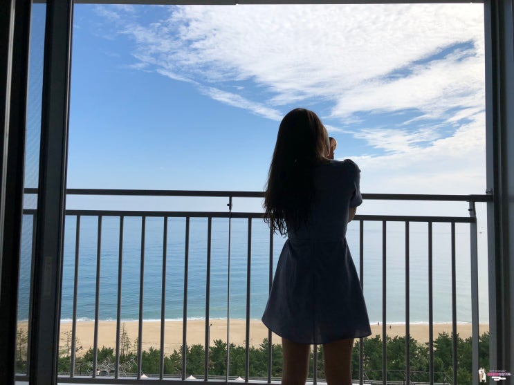  [국내숙소 할인] 강릉 세인트존스 호텔 100원 숙박? 마리트 럭키딜 총정리