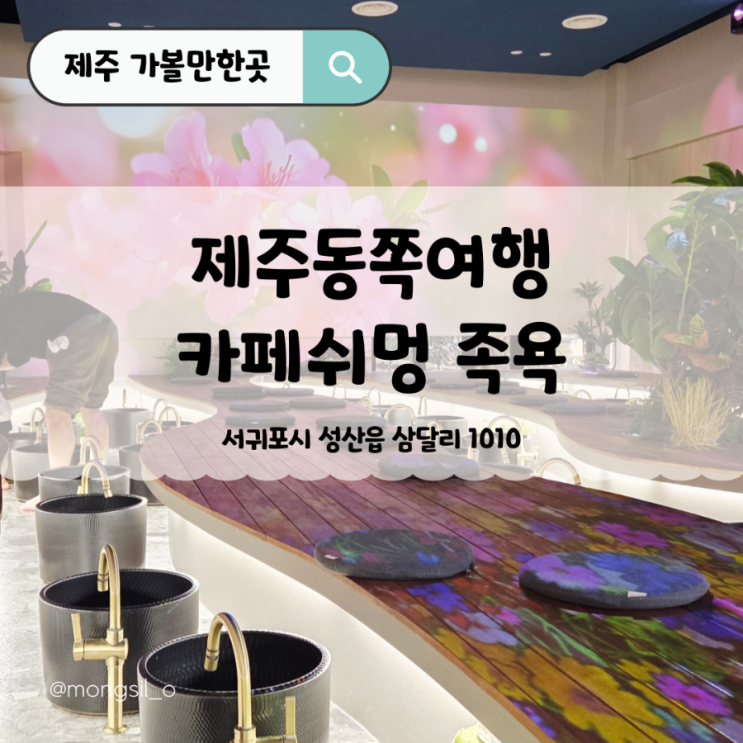  동백 가득한 제주 동쪽 카페 쉬멍 족욕 솔직후기