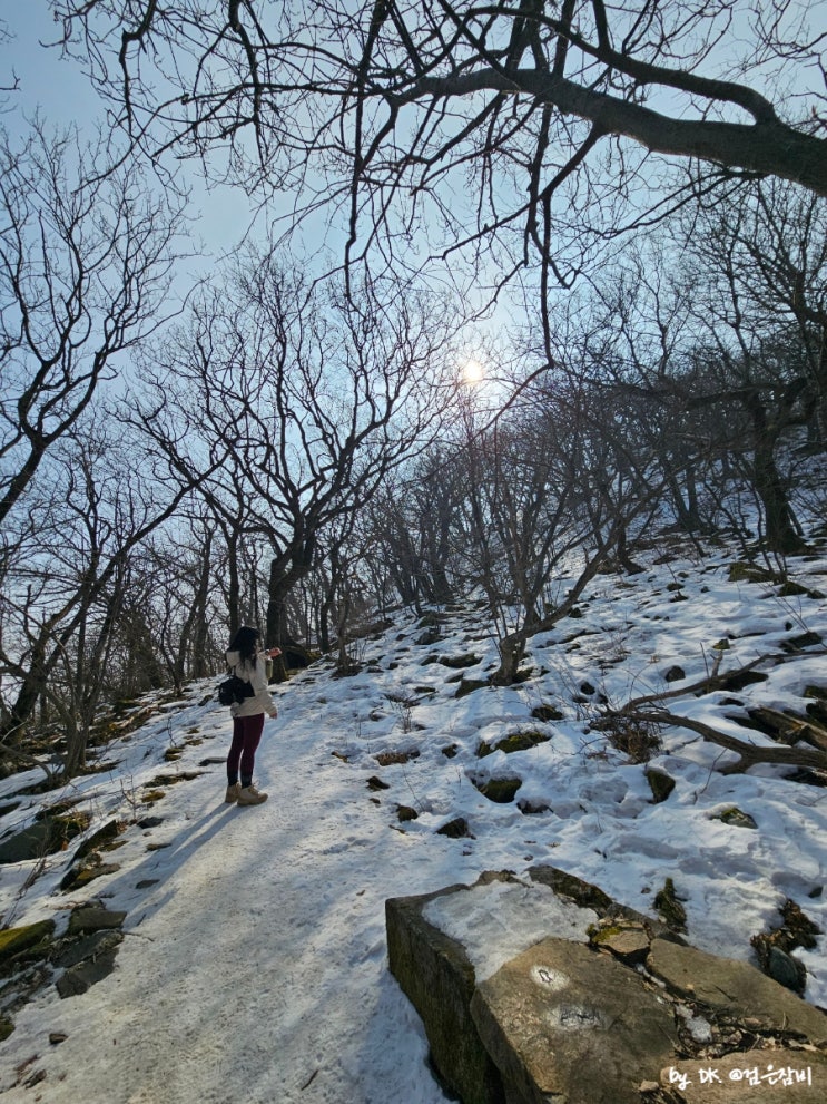  강원 20대 명산 백두대간 인증 능경봉 등산코스 선자령 트레킹 난이도 비교 등산초보 추천해요