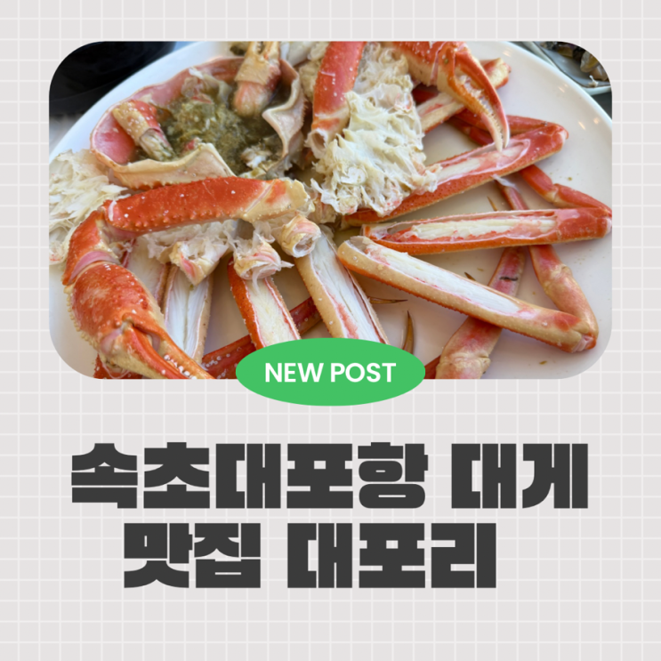  속초맛집 대포항 대게 코스 제대로 즐긴 대포리식당 C코스 솔직후기