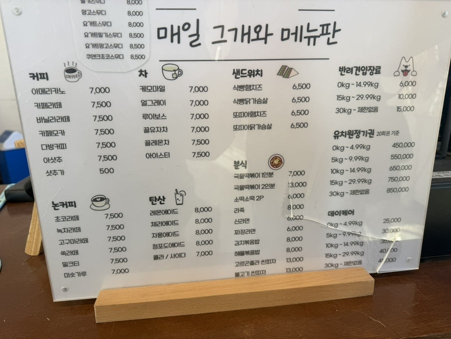 매일그개와 사진 3