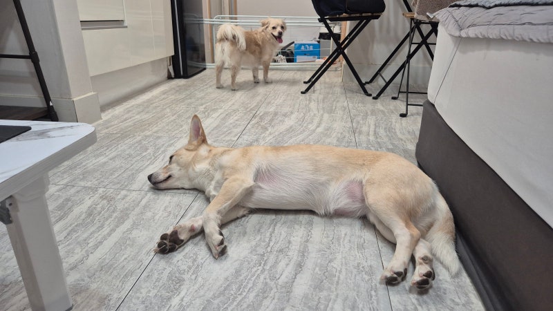 사진 5