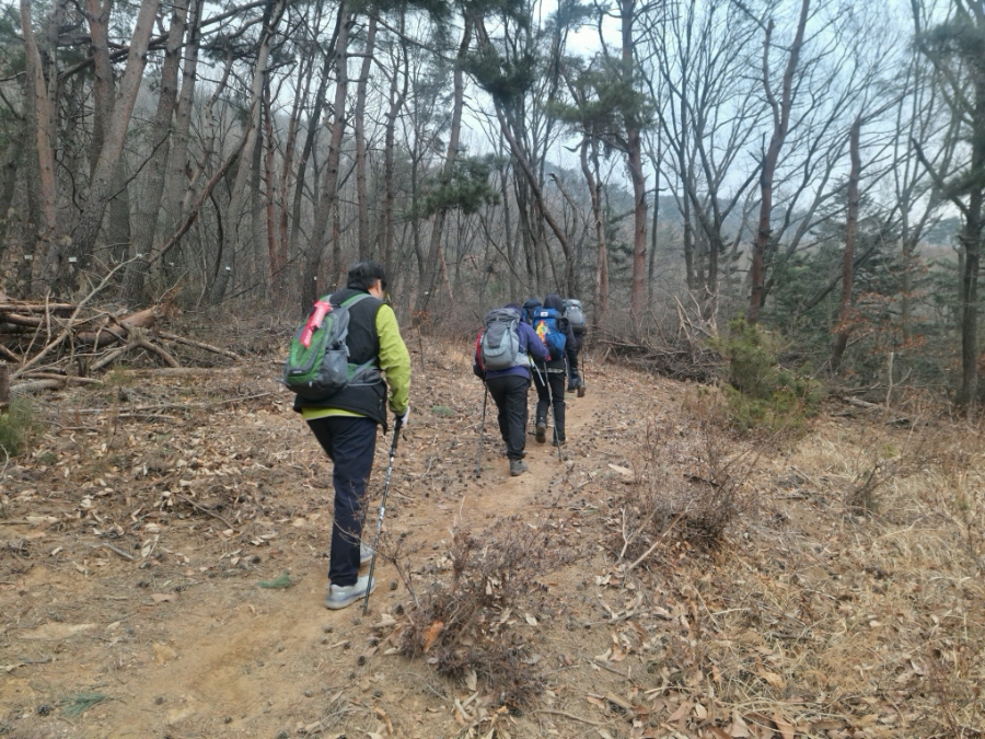 태화산가든 사진 3