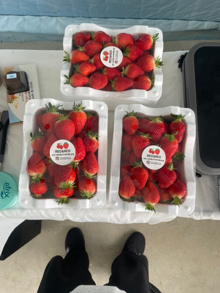  쓰레드맛집 서천 문산면 레드앤레드 RED&RED 토마토딸기농장 서천스마트팜 군산배달가능 선물하기 좋은 서천딸기맛집