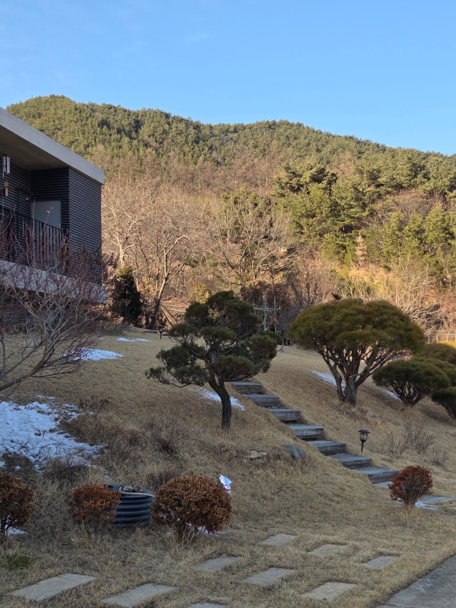 오연재 사진 6