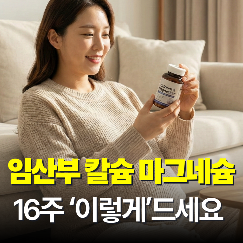 임산부 칼슘 마그네슘 추천 시기, 16주부터 필수인 이유?