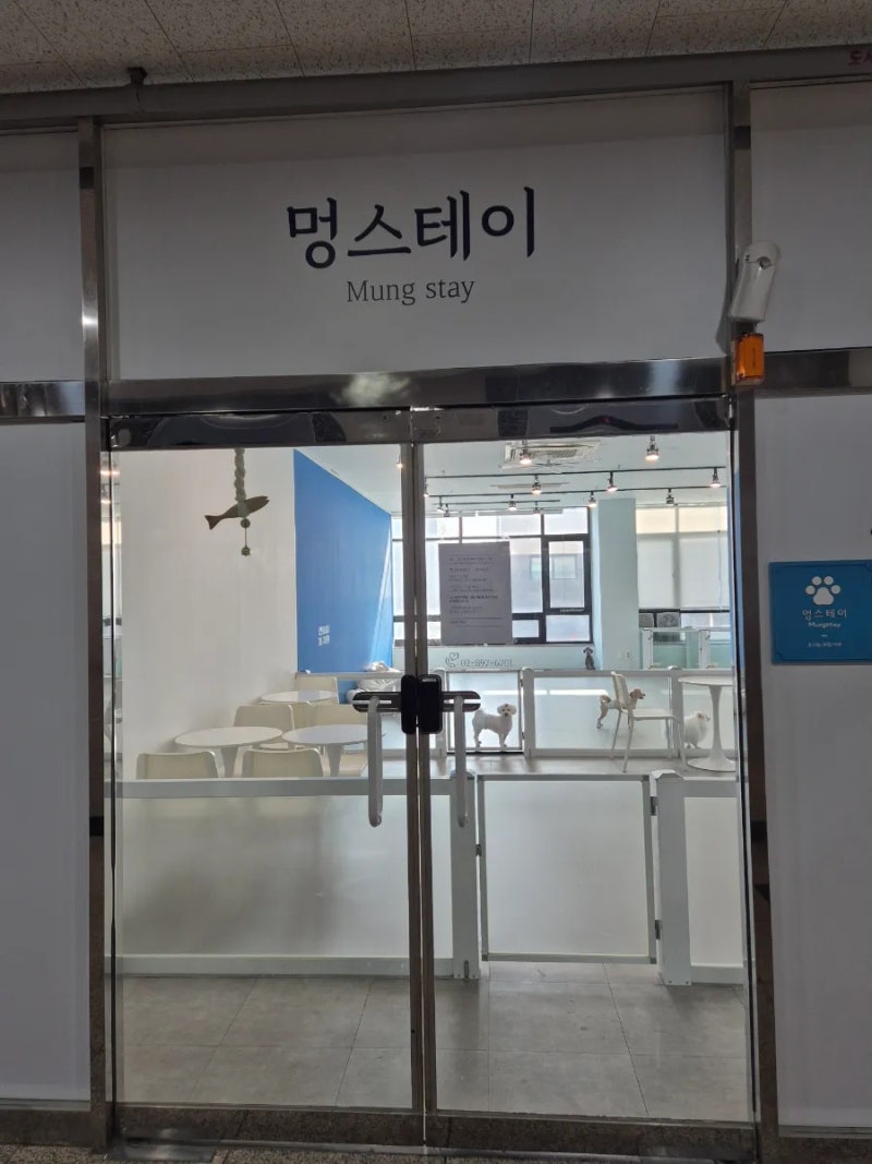 사진 5