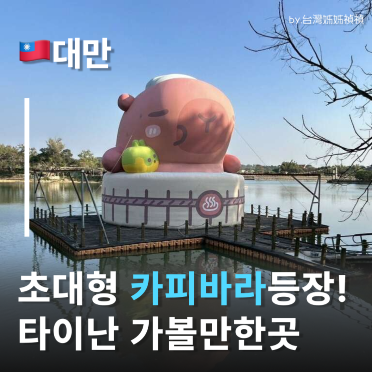  타이난가볼만한곳 12m 초대형 카피바라 등장! 대만타이난여행 후토우피 호수 전시?