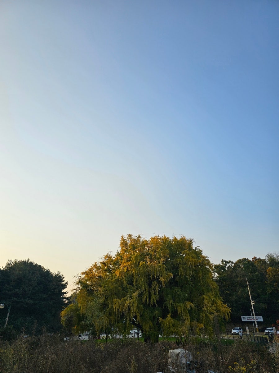 짬뽕 일도 본점 사진 3