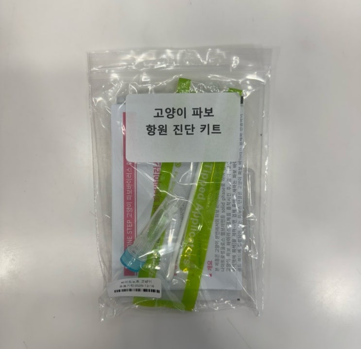  부천 심곡동 부천역 북부 동물 약국 고양이 파보 바이러스 범백 항원 진단 키트