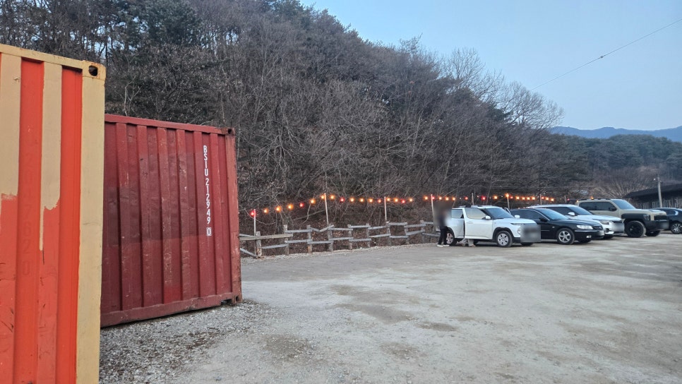 더나무 사진 2
