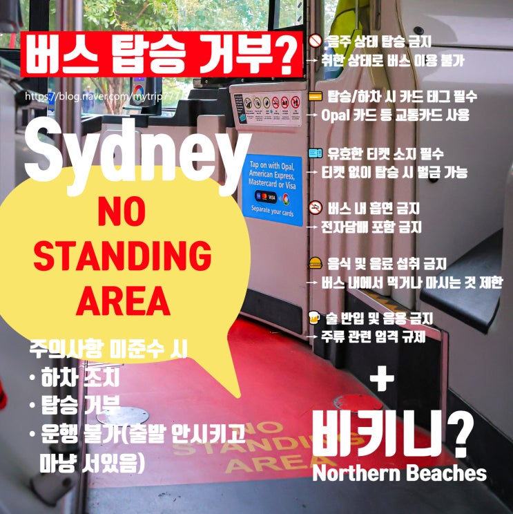  시드니 비키니 입고 버스 타도 된다?｜버스 탑승 주의사항, 본다이 비치 분위기와 맨리 실제 이슈