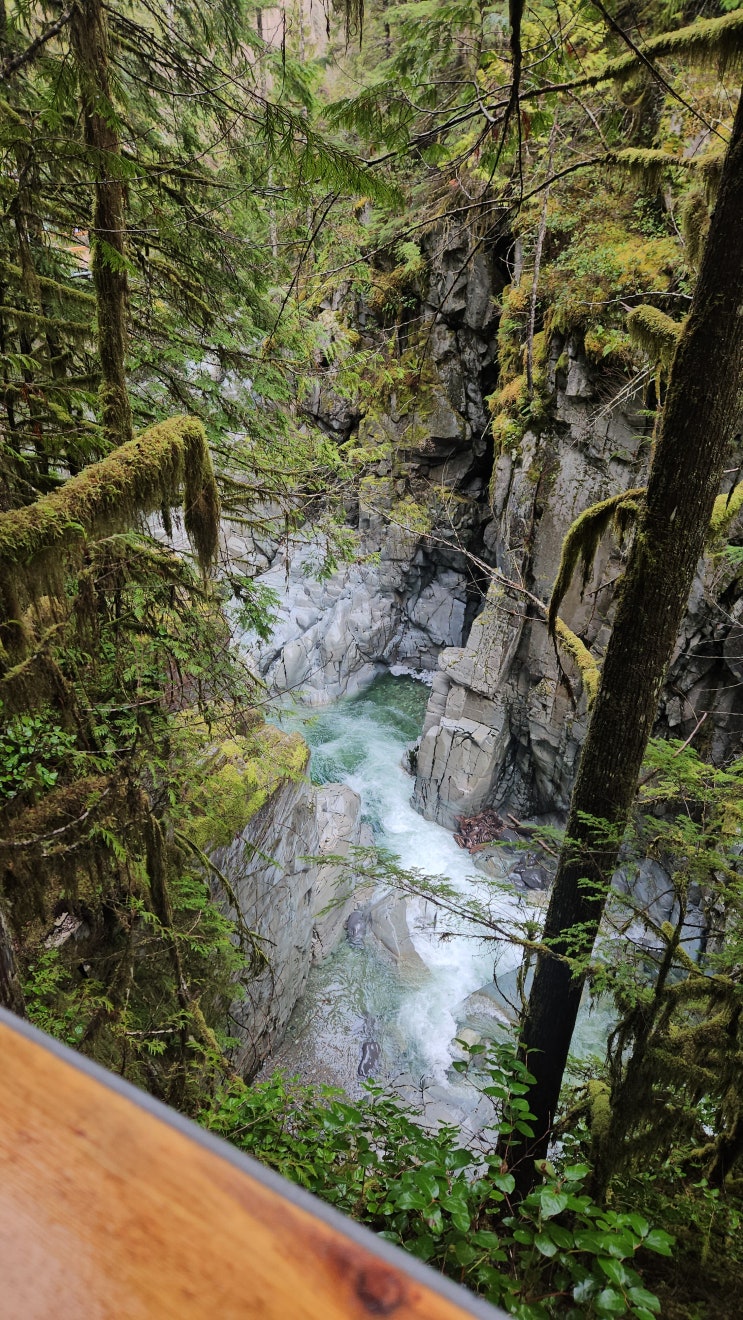  Squamish Canyon & Cypress Lookout