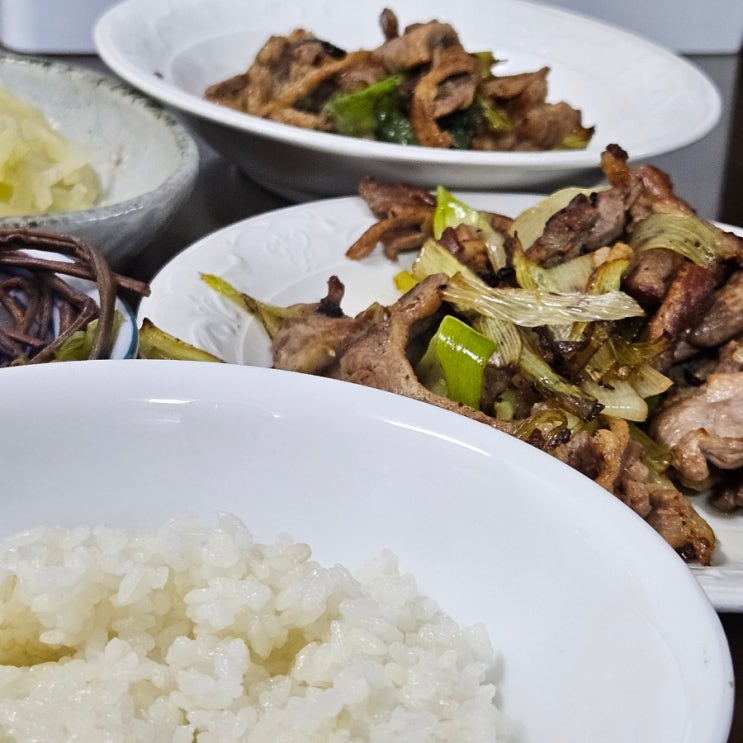  다이어트식단 간편단백질 오리고기로 맛있게 다이어트하자 팜스제임