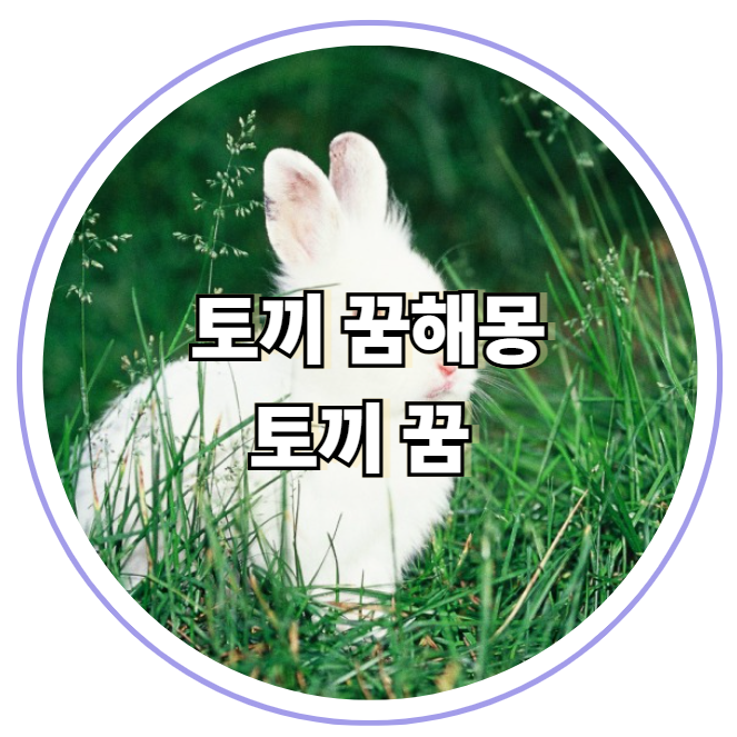 토끼꿈 태몽일까 연애운 상승일까