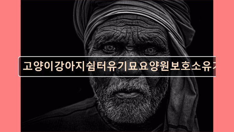 사진 9