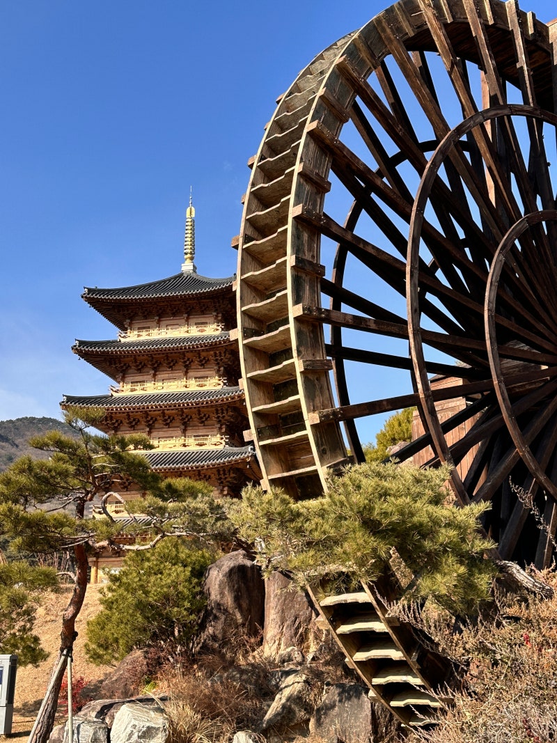 사진 10