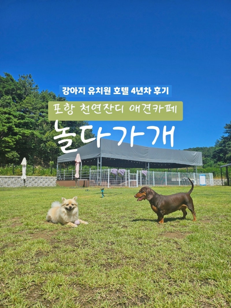사진 9