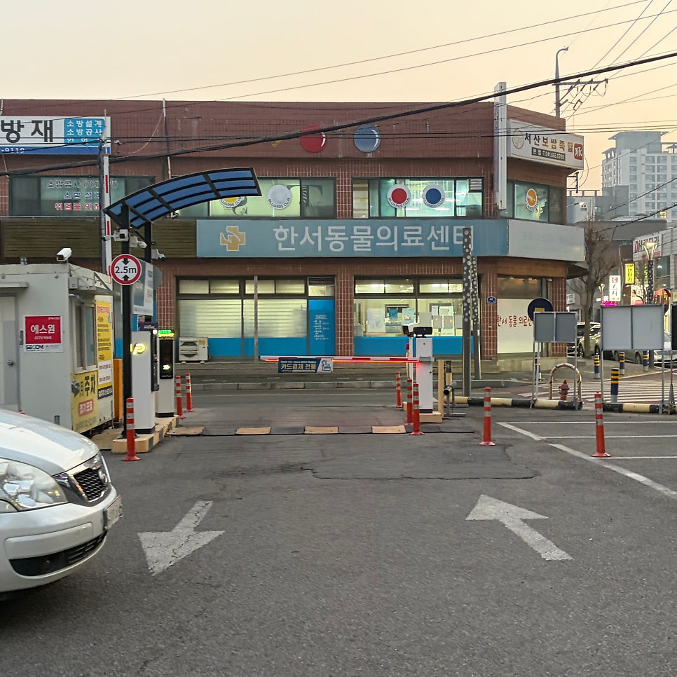 미찌모모 사진 2