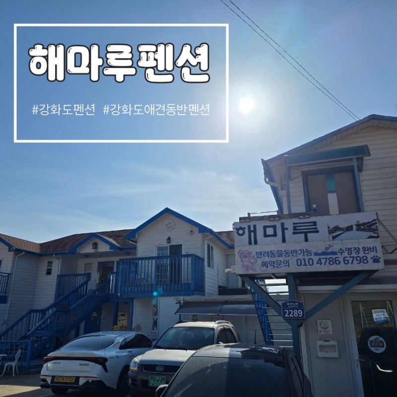 사진 3