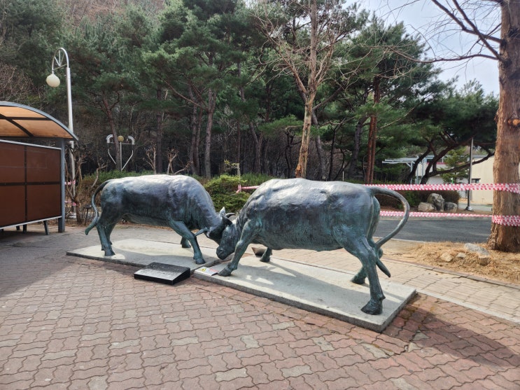  중앙고속도로 청도새마을휴게소 대구방향 맛집 간식