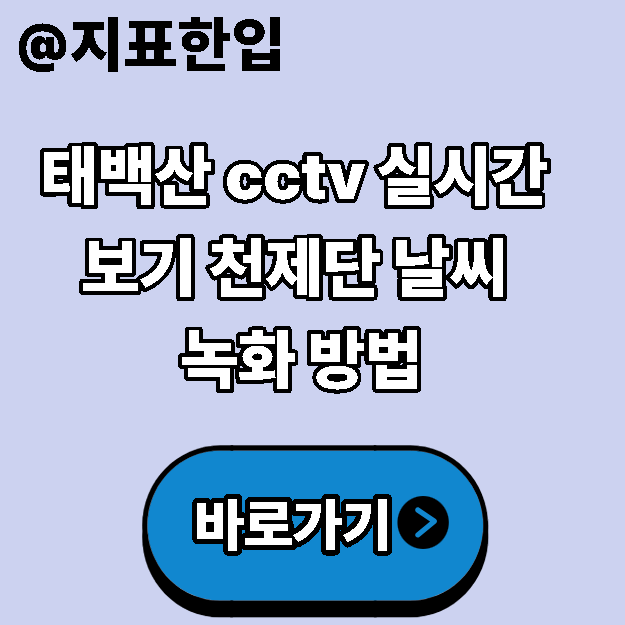 태백산 cctv 실시간 보기 천제단 날씨 녹화 방법