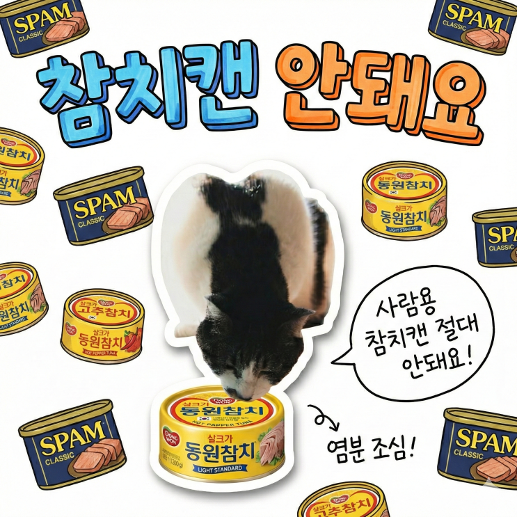  고양이 스팸 먹어도 되나요? 명절 가공식품의 위험성과 안전한 대체 간식