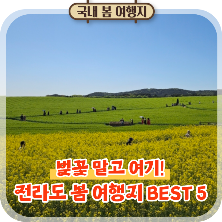  벚꽃 말고도 많아요! 올봄 꼭 가봐야 할 전라도 여행지 추천 5곳